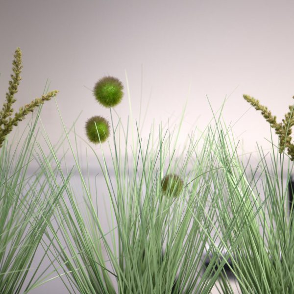 Het is officieel. En het is groots.